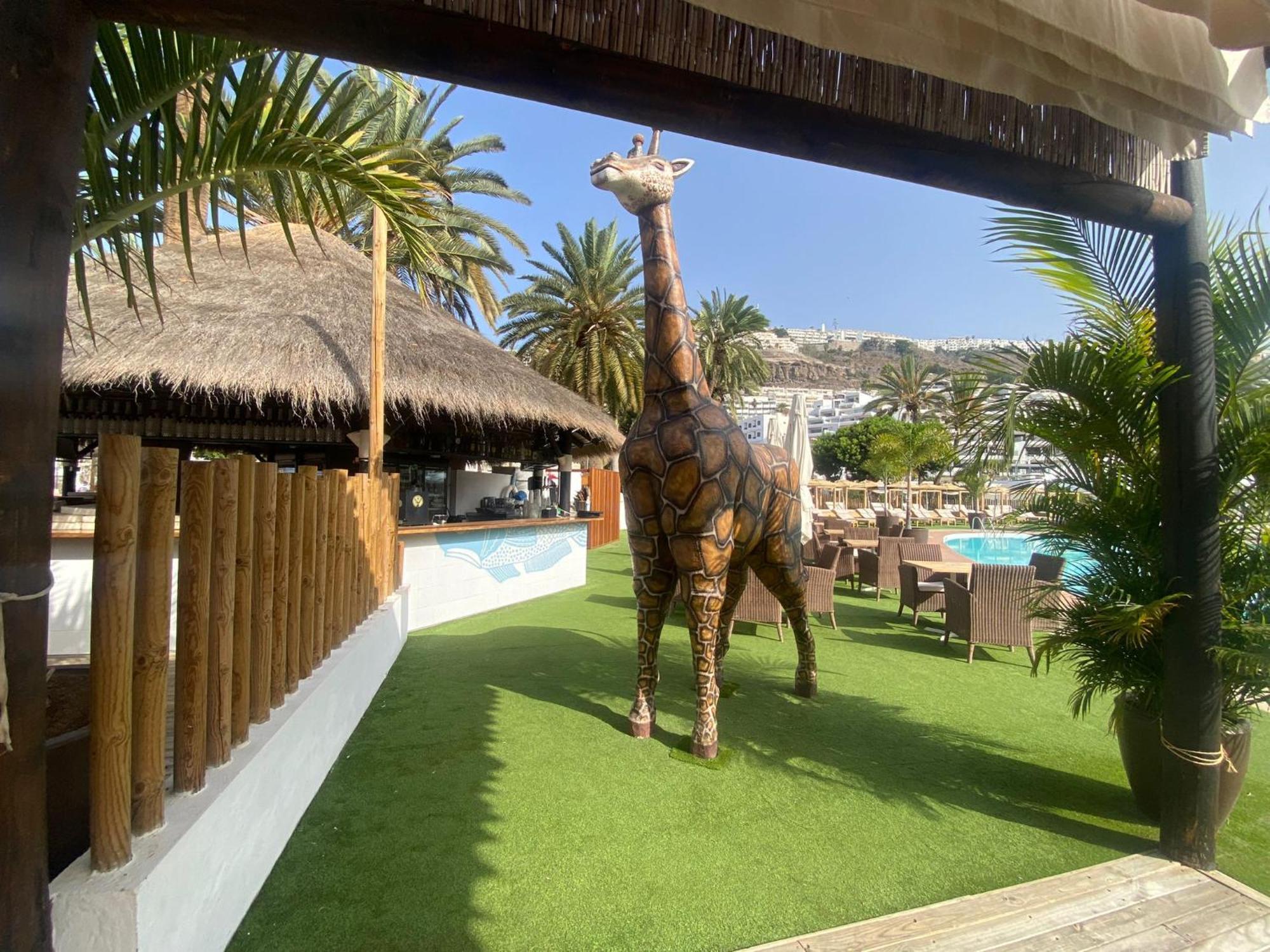 Cozy Modern House, In A Complex With A Swimming Pool Puerto Rico (Gran Canaria) Exterior foto